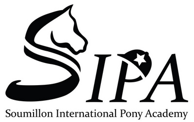 Logo Sipa noir
